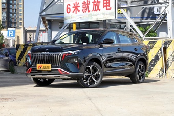 皓极